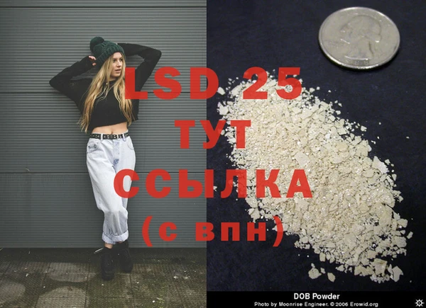 прущие грибы Арсеньев