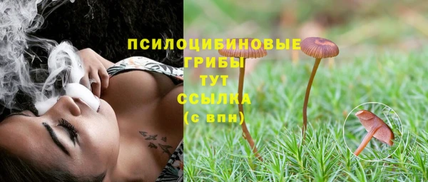 прущие грибы Арсеньев
